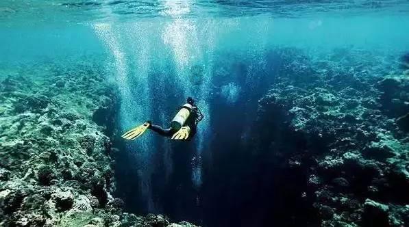 Ai认知症照护专家机器人为院校的失智老人照护课程赋能