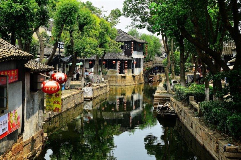 保证狗狗耳朵清洁，还能有效预防狗狗耳科疾病，狗狗耳道多久清理一次好？游戏画面